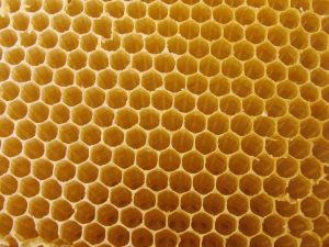 bee-hive-yellow